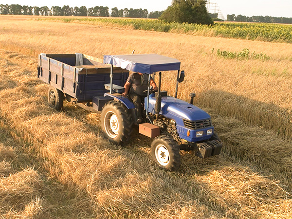 hurtowa sprzedaż paliw włocławek, Świecie, Nakło nad Notecią